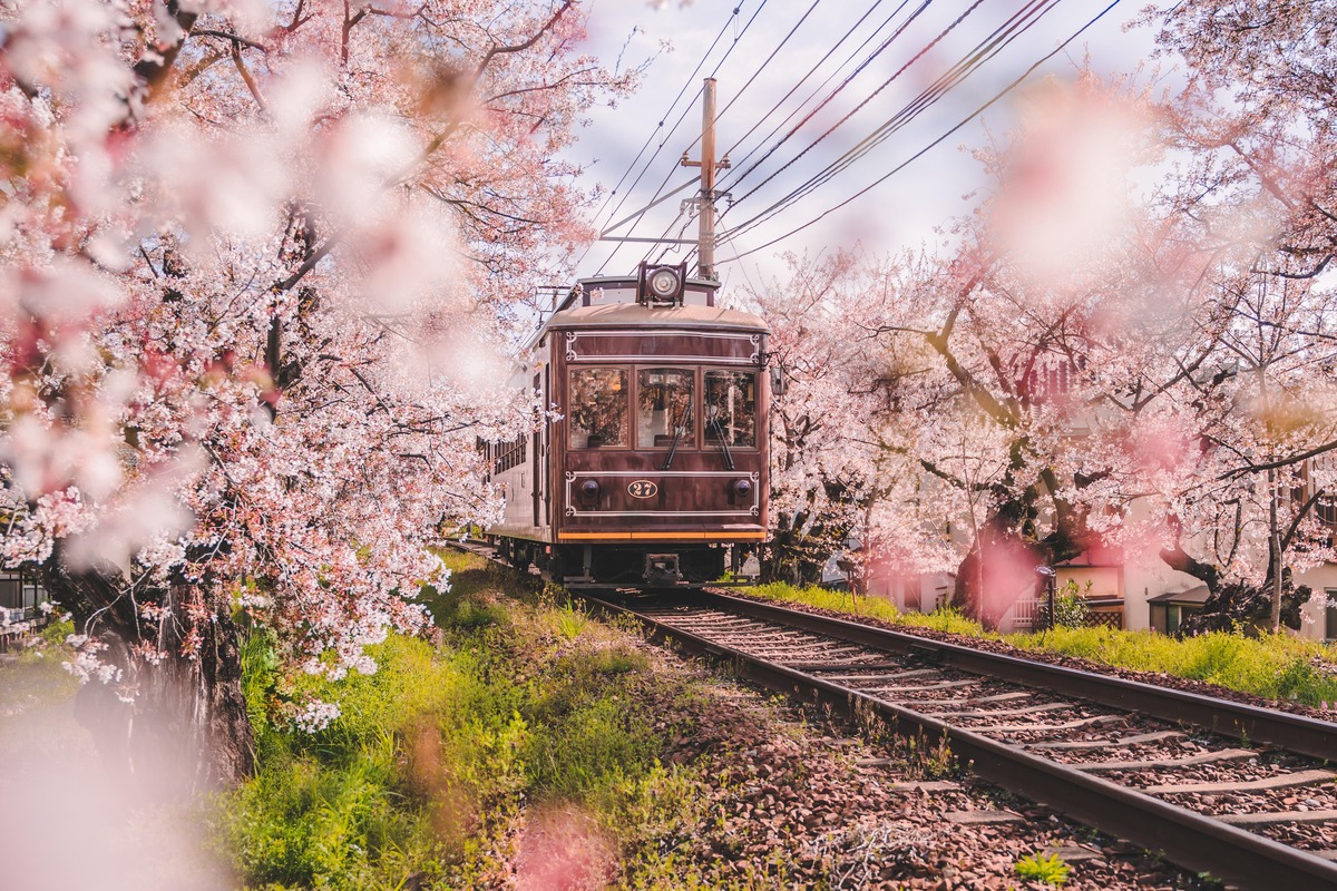 Planning Your Japan Trip? Here Are 10 Tips to Ensure a Smooth Journey